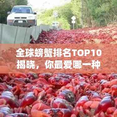 全球螃蟹排名TOP10揭曉，你最愛哪一種？