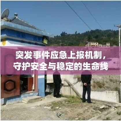 突發事件應急上報機制，守護安全與穩定的生命線