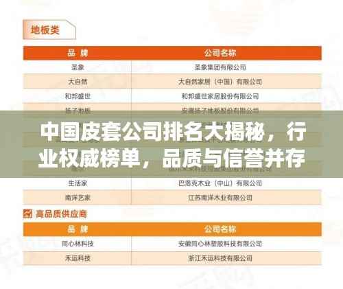 中國皮套公司排名大揭秘，行業權威榜單，品質與信譽并存的企業！