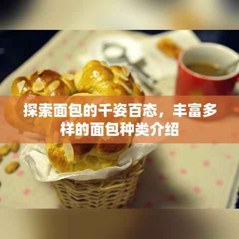 探索面包的千姿百態(tài)，豐富多樣的面包種類介紹