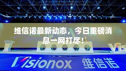 維信諾最新動態，今日重磅消息一網打盡！