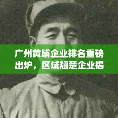 廣州黃埔企業排名重磅出爐，區域翹楚企業揭曉