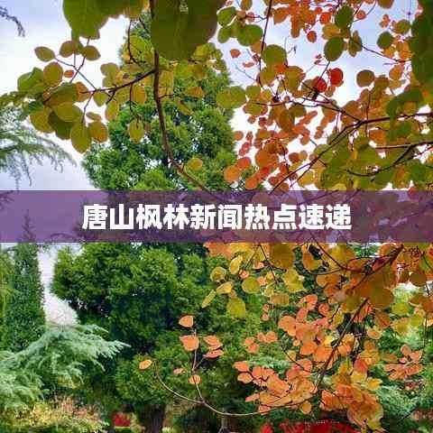 唐山楓林新聞熱點速遞