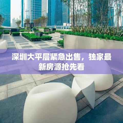 深圳大平層緊急出售，獨家最新房源搶先看