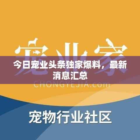 今日寵業(yè)頭條獨家爆料，最新消息匯總