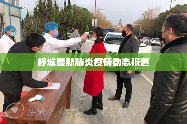 舒城最新肺炎疫情動(dòng)態(tài)報(bào)道