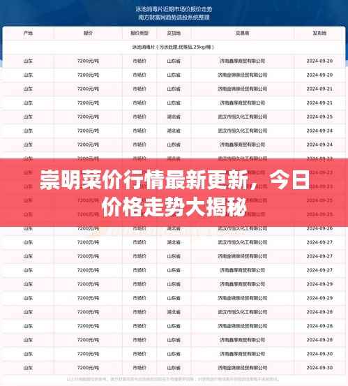 崇明菜價行情最新更新，今日價格走勢大揭秘