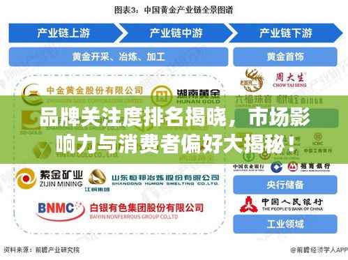 品牌關(guān)注度排名揭曉，市場影響力與消費者偏好大揭秘！