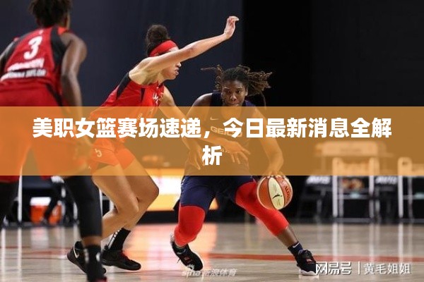 美職女籃賽場(chǎng)速遞，今日最新消息全解析