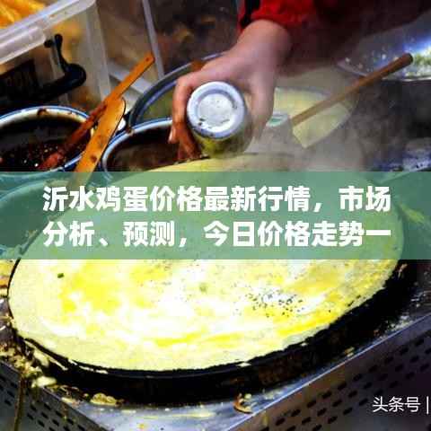 沂水雞蛋價格最新行情，市場分析、預測，今日價格走勢一網打盡！