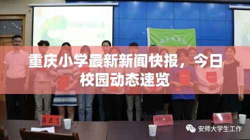 重慶小學最新新聞快報，今日校園動態速覽
