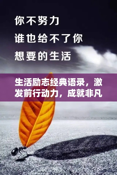 生活勵志經(jīng)典語錄，激發(fā)前行動力，成就非凡人生