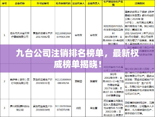 九臺(tái)公司注銷(xiāo)排名榜單，最新權(quán)威榜單揭曉！