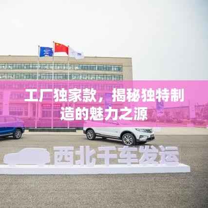 工廠獨(dú)家款，揭秘獨(dú)特制造的魅力之源