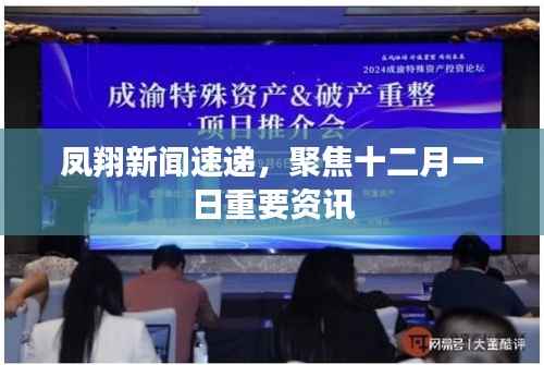 鳳翔新聞速遞，聚焦十二月一日重要資訊