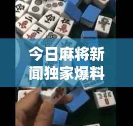 今日麻將新聞獨家爆料，最新消息一網打盡！