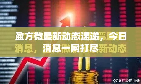 盈方微最新動態速遞，今日消息一網打盡