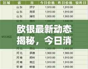 歐銀最新動態揭秘，今日消息一網打盡！