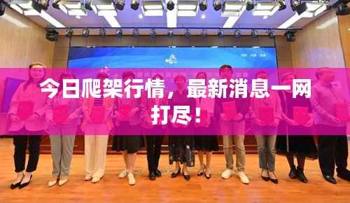 今日爬架行情，最新消息一網打盡！