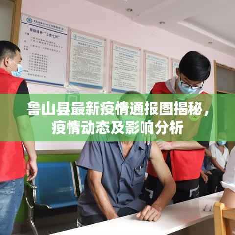魯山縣最新疫情通報圖揭秘，疫情動態及影響分析