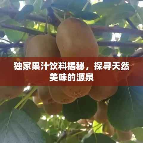 獨家果汁飲料揭秘，探尋天然美味的源泉