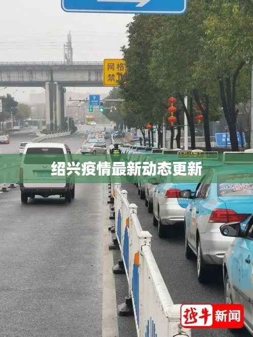 紹興疫情最新動態(tài)更新
