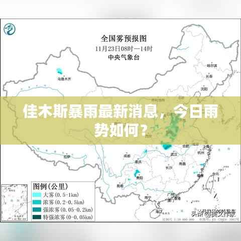 佳木斯暴雨最新消息，今日雨勢如何？