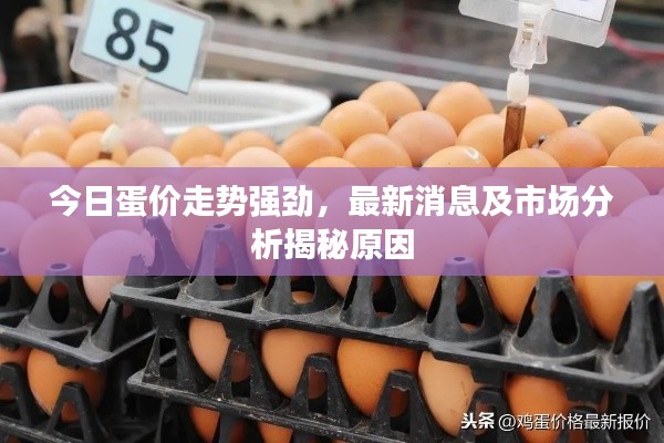 今日蛋價(jià)走勢(shì)強(qiáng)勁，最新消息及市場(chǎng)分析揭秘原因