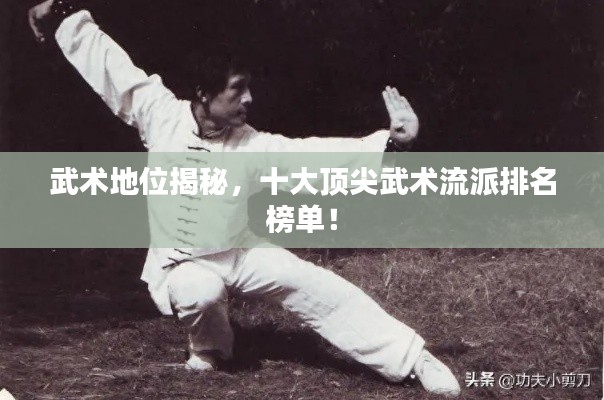 武術地位揭秘，十大頂尖武術流派排名榜單！