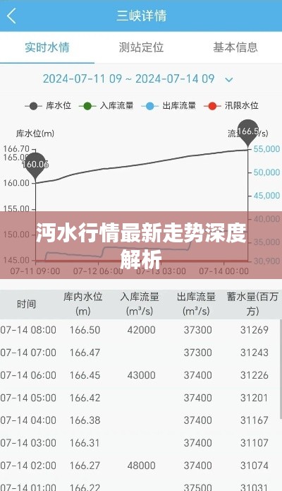 沔水行情最新走勢深度解析
