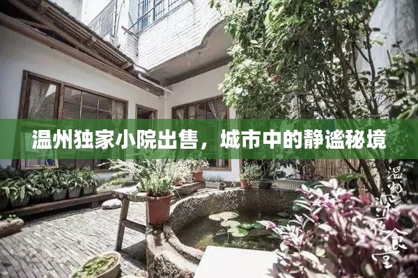 溫州獨(dú)家小院出售，城市中的靜謐秘境
