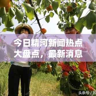今日精河新聞熱點大盤點，最新消息綜述
