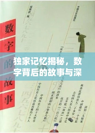 獨家記憶揭秘，數字背后的故事與深意探尋