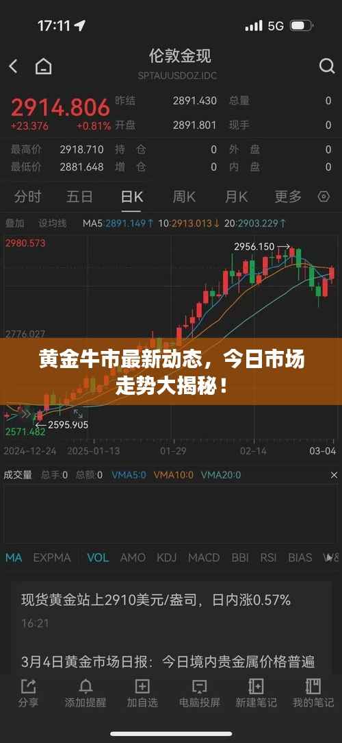 黃金牛市最新動態，今日市場走勢大揭秘！