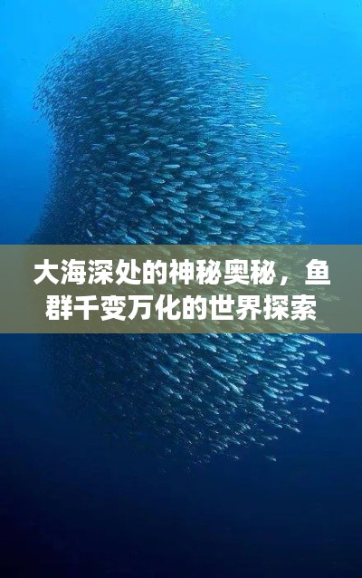 大海深處的神秘奧秘，魚群千變?nèi)f化的世界探索