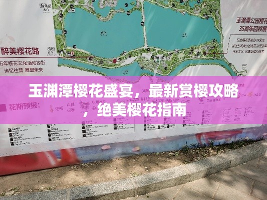 玉淵潭櫻花盛宴，最新賞櫻攻略，絕美櫻花指南