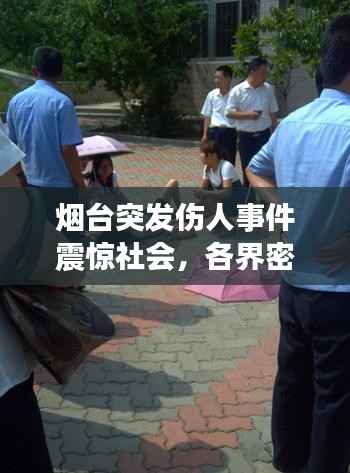煙臺突發傷人事件震驚社會，各界密切關注事件進展
