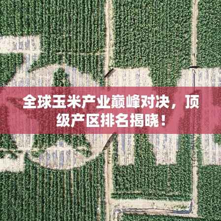 全球玉米產業巔峰對決，頂級產區排名揭曉！