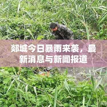 郯城今日暴雨來(lái)襲，最新消息與新聞報(bào)道