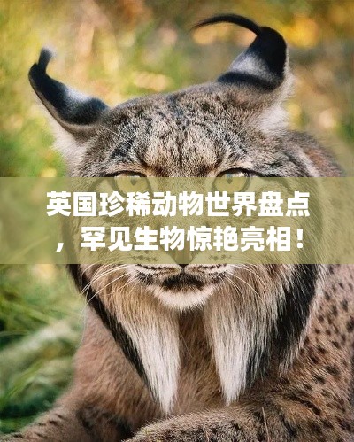 英國(guó)珍稀動(dòng)物世界盤點(diǎn)，罕見生物驚艷亮相！