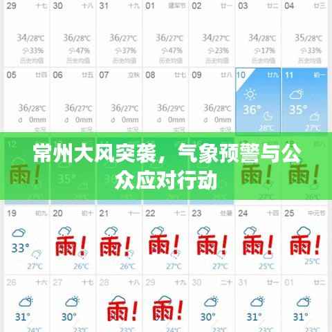 常州大風突襲，氣象預警與公眾應對行動