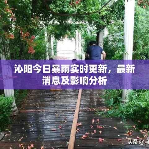 沁陽今日暴雨實時更新，最新消息及影響分析