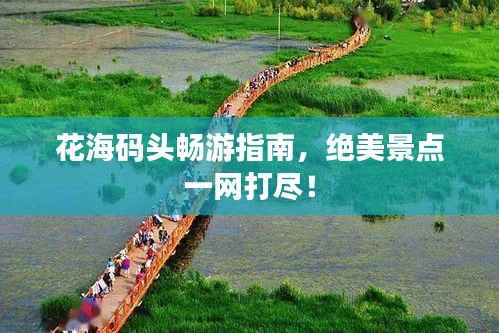 花海碼頭暢游指南，絕美景點一網打盡！