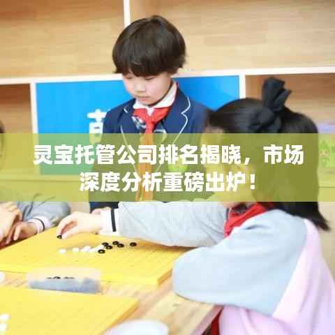 靈寶托管公司排名揭曉，市場深度分析重磅出爐！