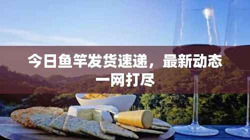 今日魚竿發貨速遞，最新動態一網打盡
