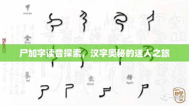 尸加字讀音探索，漢字奧秘的迷人之旅