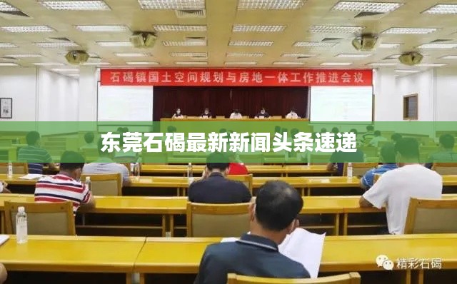 東莞石碣最新新聞頭條速遞