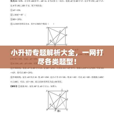 小升初專題解析大全，一網打盡各類題型！