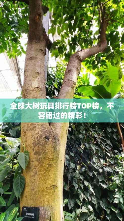 全球大樹玩具排行榜TOP榜，不容錯過的精彩！