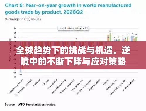 全球趨勢下的挑戰與機遇，逆境中的不斷下降與應對策略